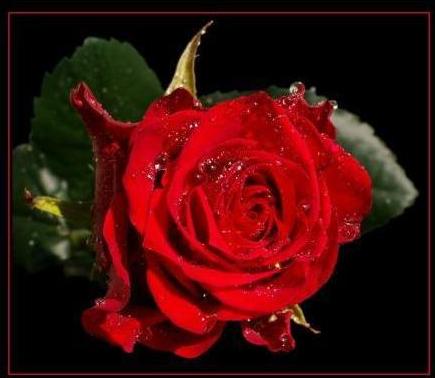 le signe de l'amour et le sen